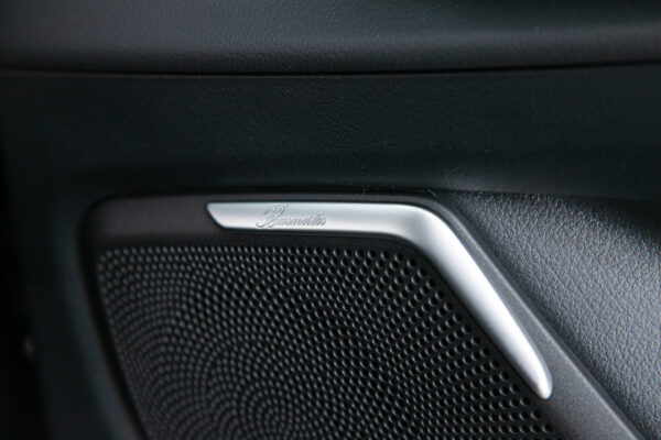 V220d アバンギャルド EXロング ブラックスイート ディーゼル ターボ