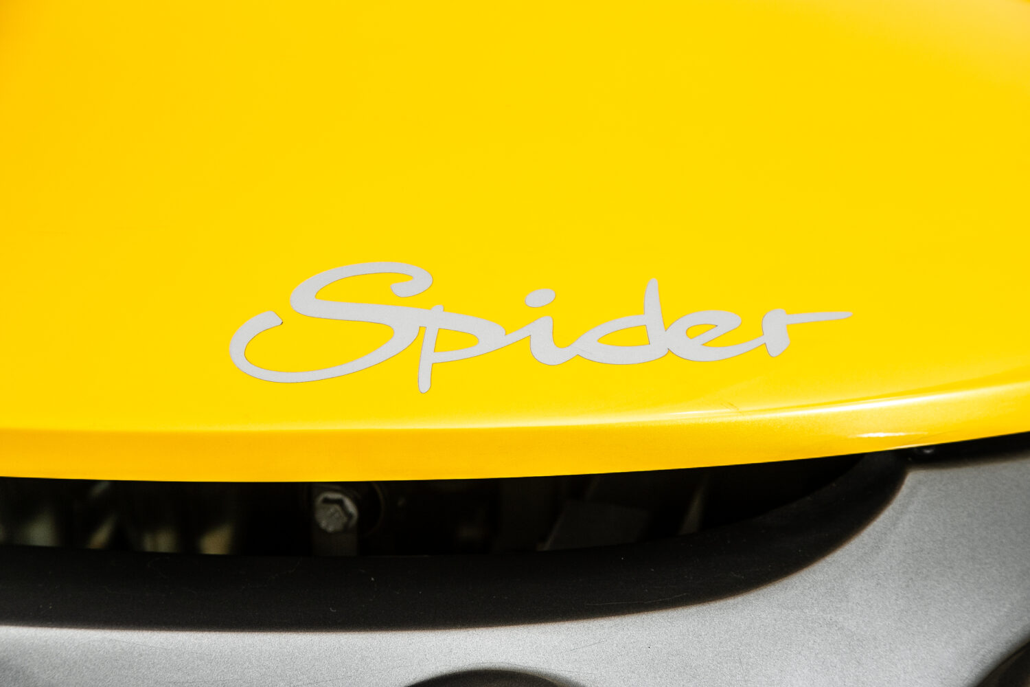 スポールスパイダー