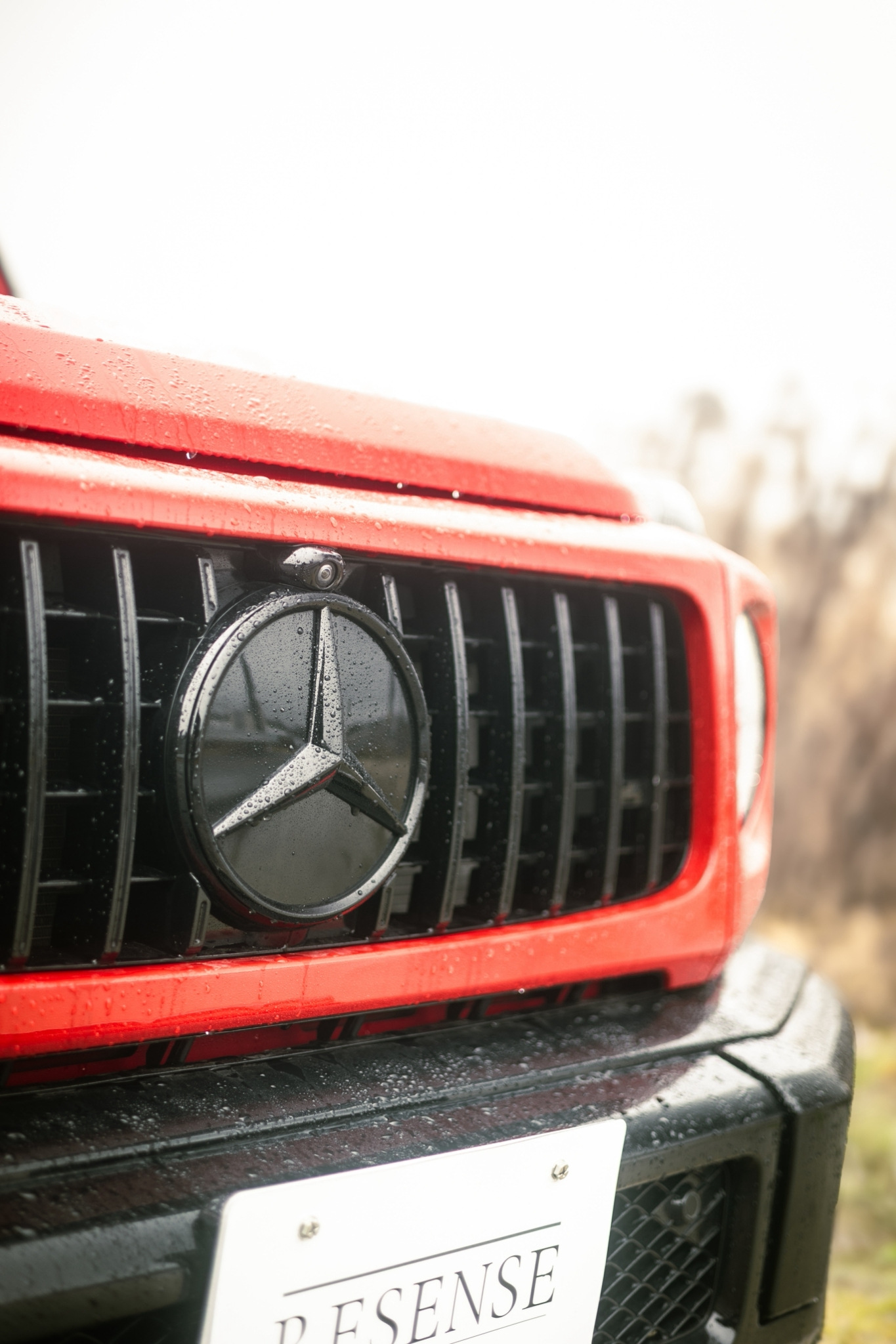 メルセデス・ベンツG350d（4WD/9AT）おいでやす、Gの世界におこしやす