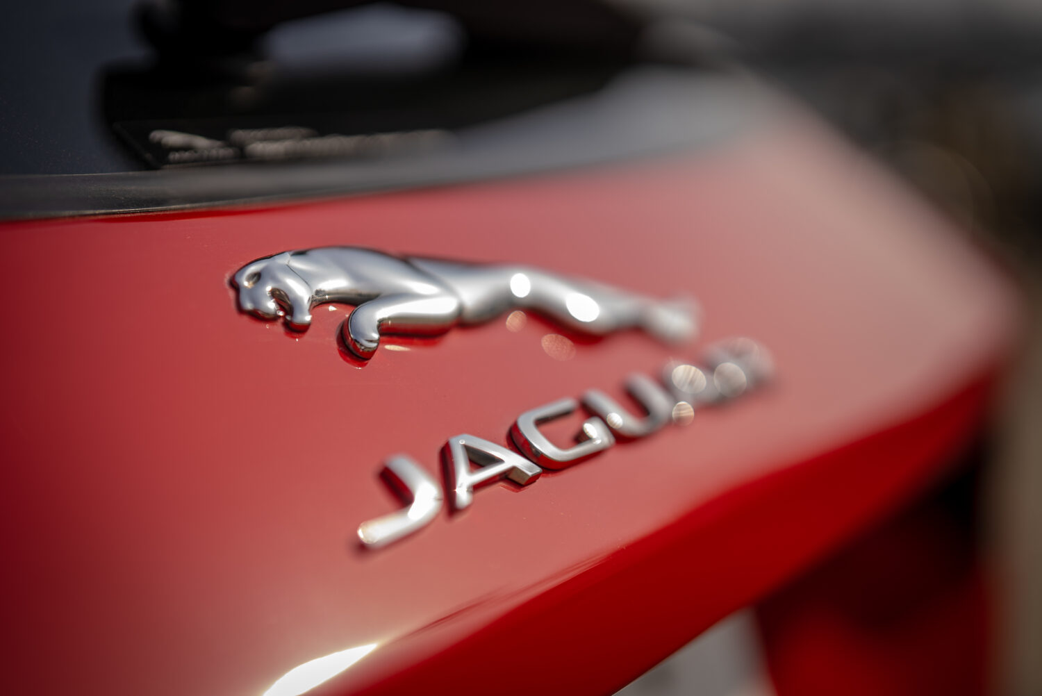 ジャガーEペイス（4WD/9AT）ママの“ジャガーちゃん”