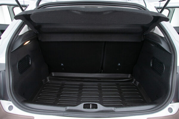C4カクタス 1.2 200台限定車