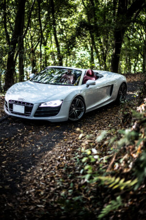 アウディ・R8スパイダー（4WD/6AMT）ドレスコードは不要です。