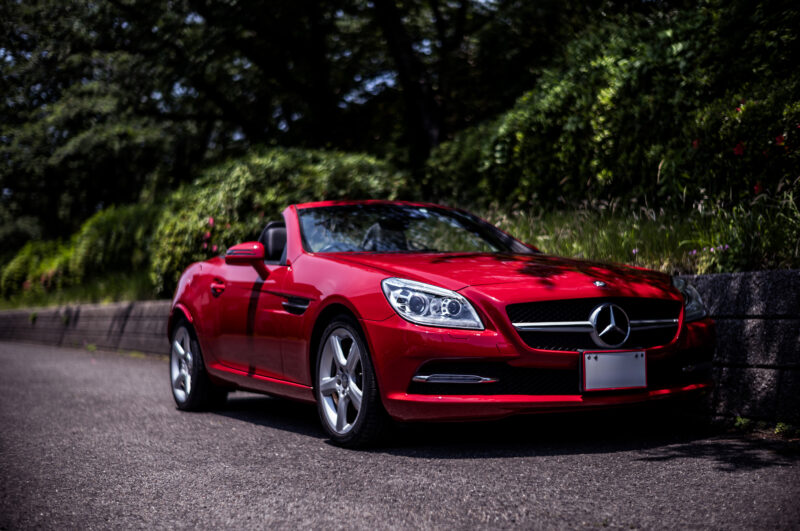 メルセデス・ベンツ・SLK200（FR/6MT）野花の美しさ