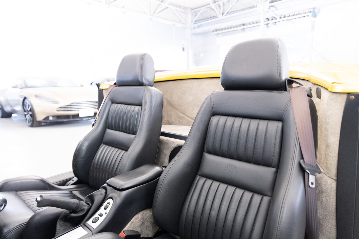 アルファスパイダー2.0 ツインスパーク