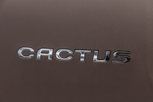 C4カクタス 1.6 ディーゼル