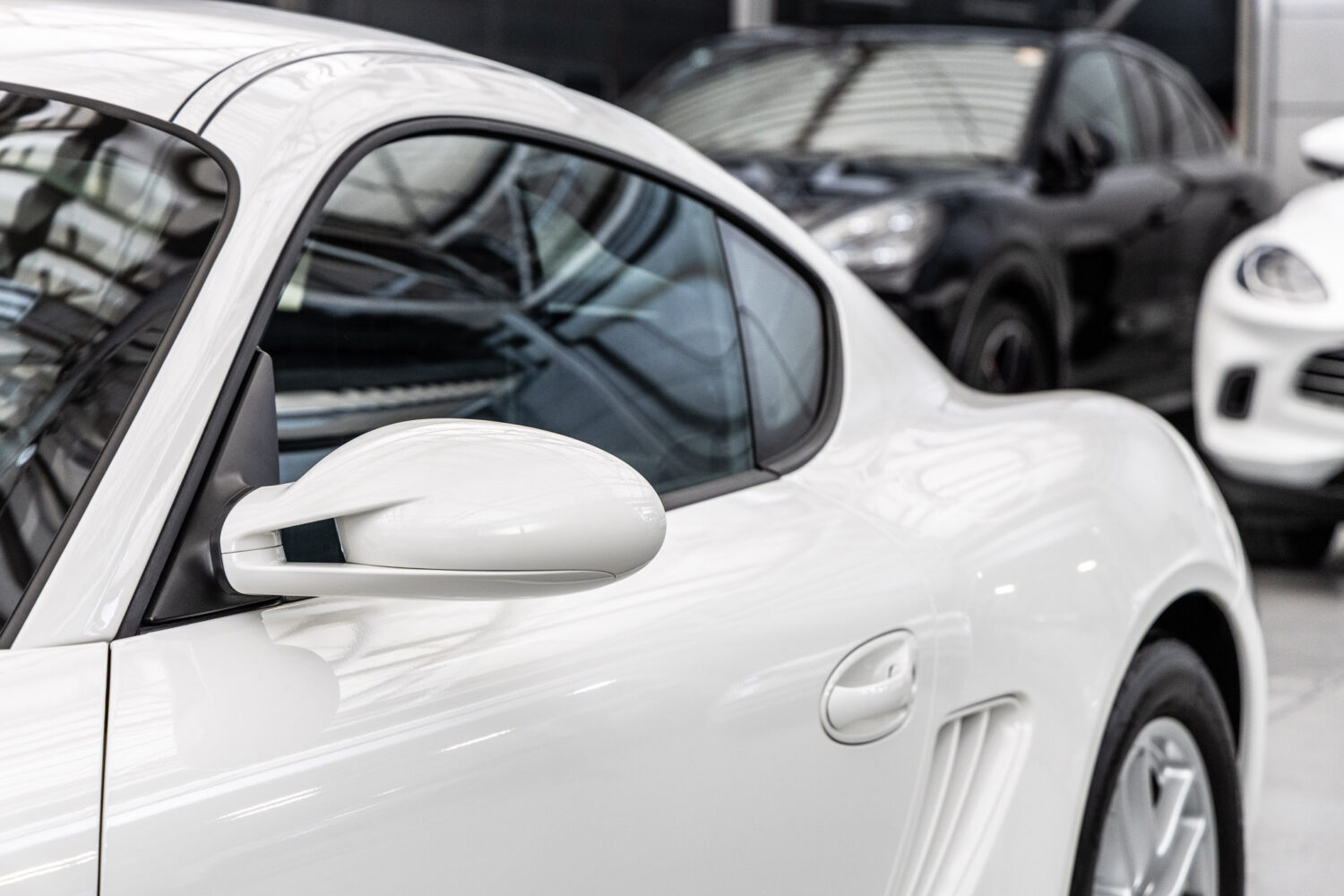 ケイマン ティプトロニック