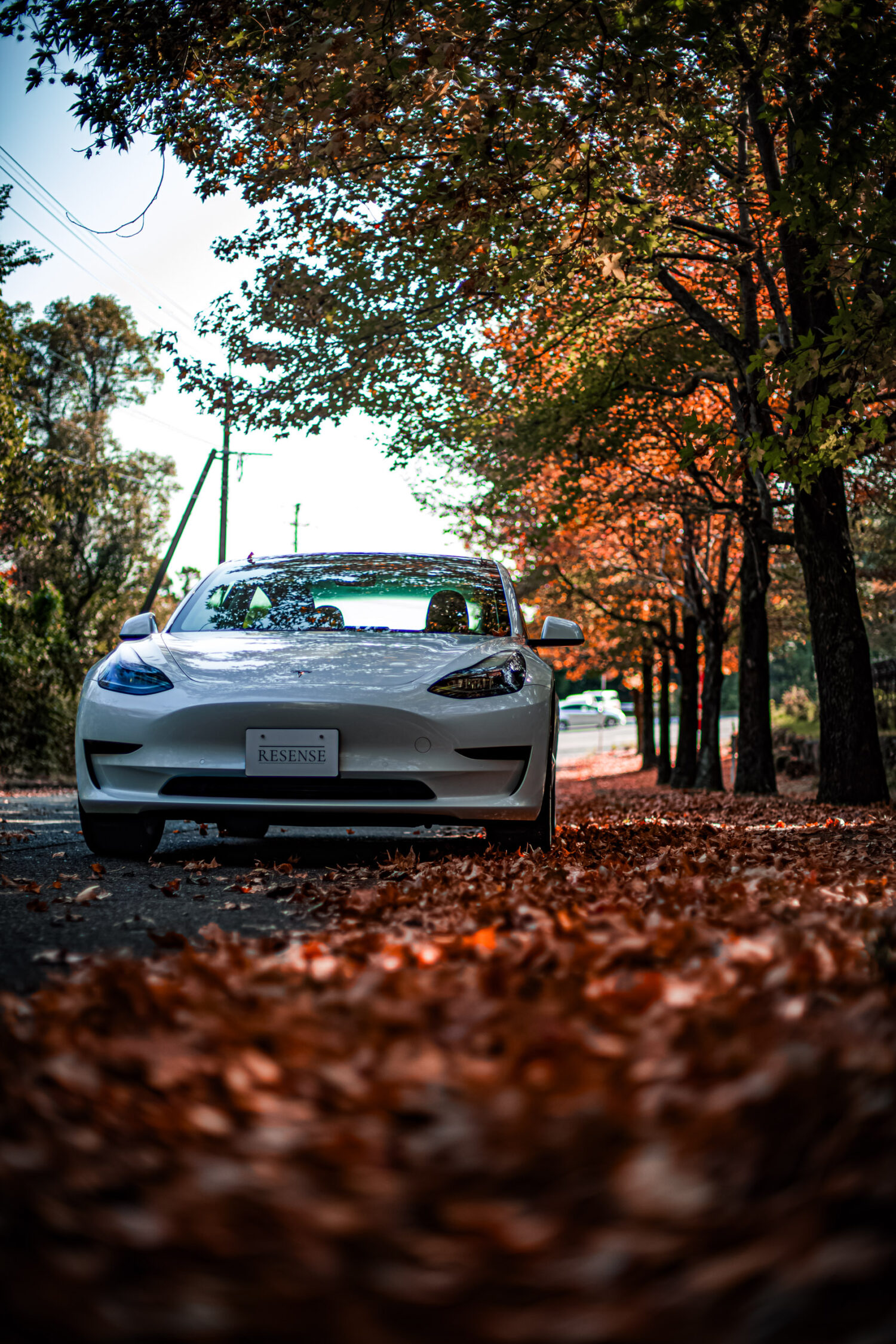 テスラ・モデル3(RWD)ギャップが生み出す魅力