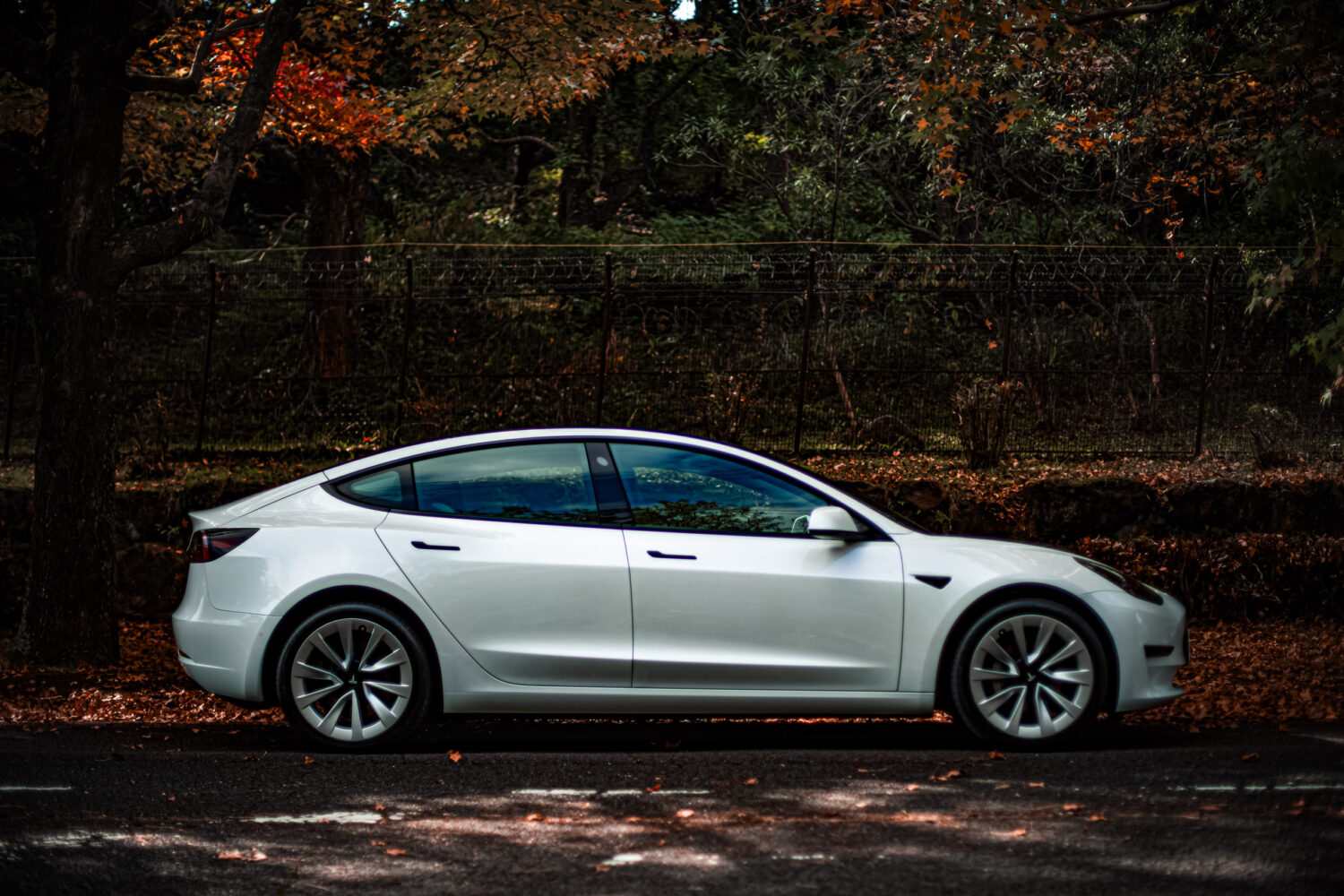 テスラ・モデル3(RWD)ギャップが生み出す魅力