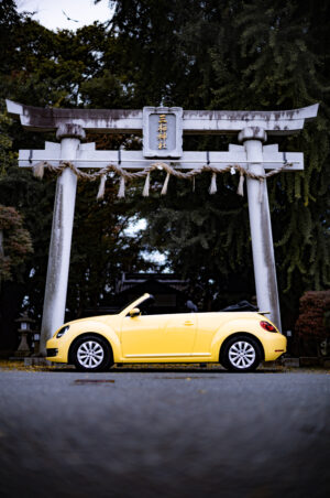 フォルクスワーゲン・ザ・ビートル・カブリオレ（FF/7AT）冬こそオープンカー