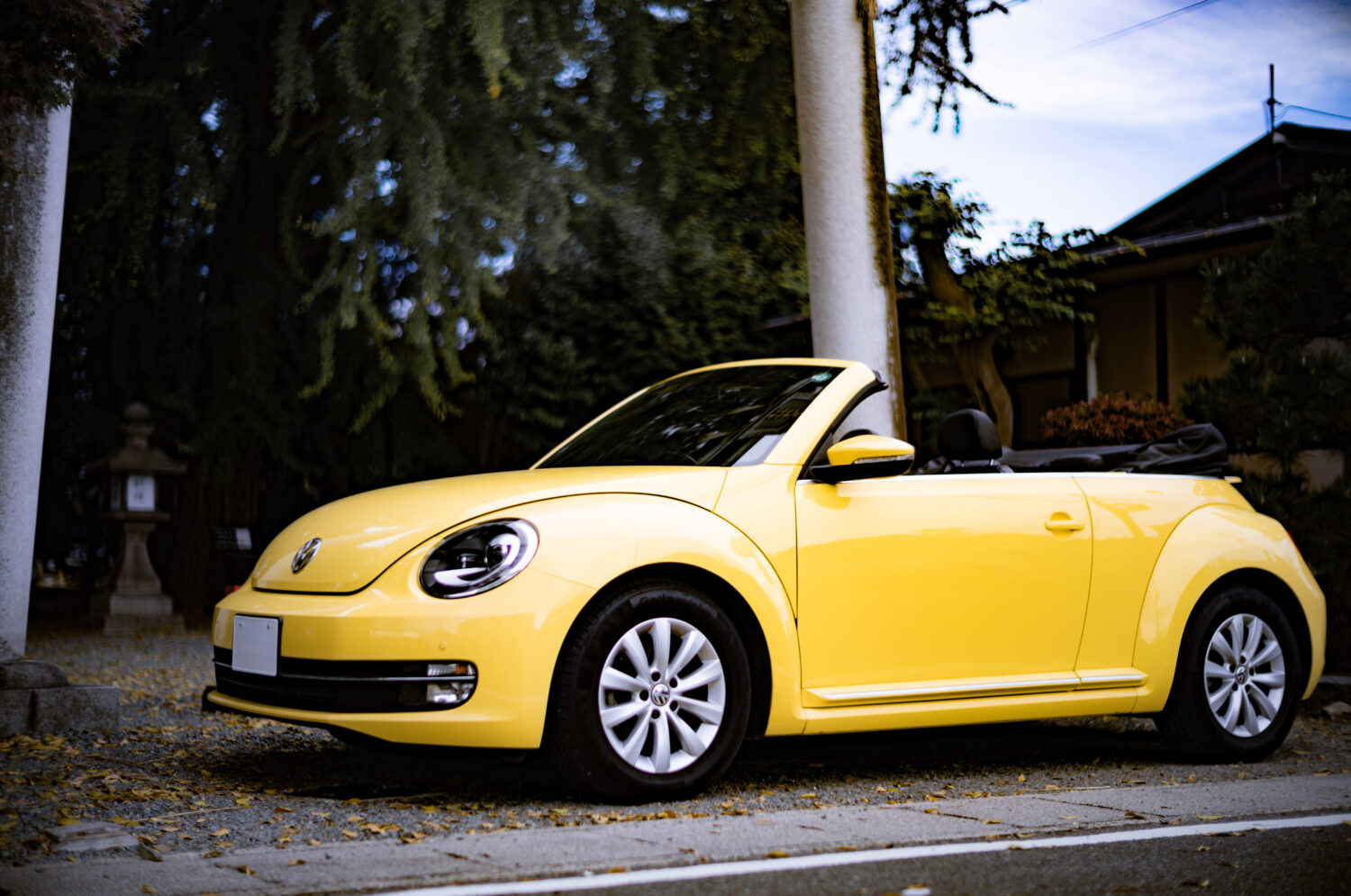 フォルクスワーゲン・ザ・ビートル・カブリオレ（FF/7AT）冬こそオープンカー