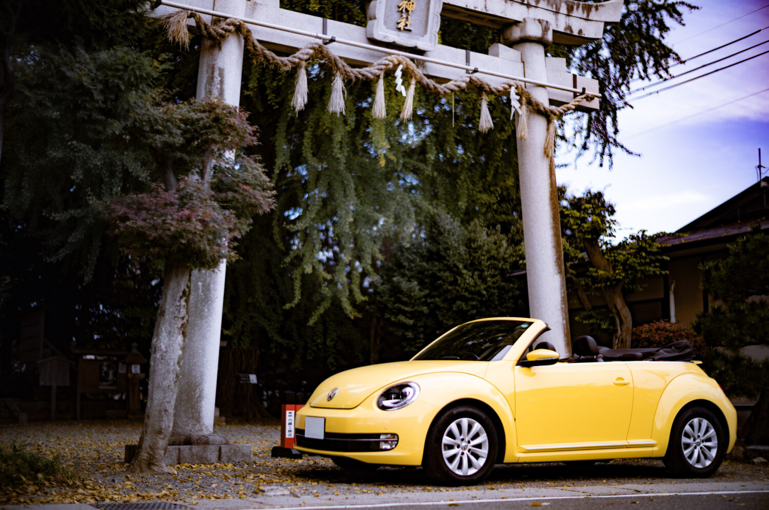 フォルクスワーゲン・ザ・ビートル・カブリオレ（FF/7AT）冬こそオープンカー