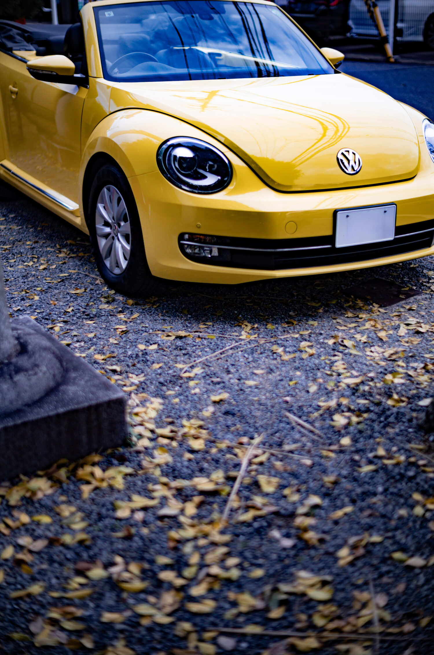 フォルクスワーゲン・ザ・ビートル・カブリオレ（FF/7AT）冬こそオープンカー