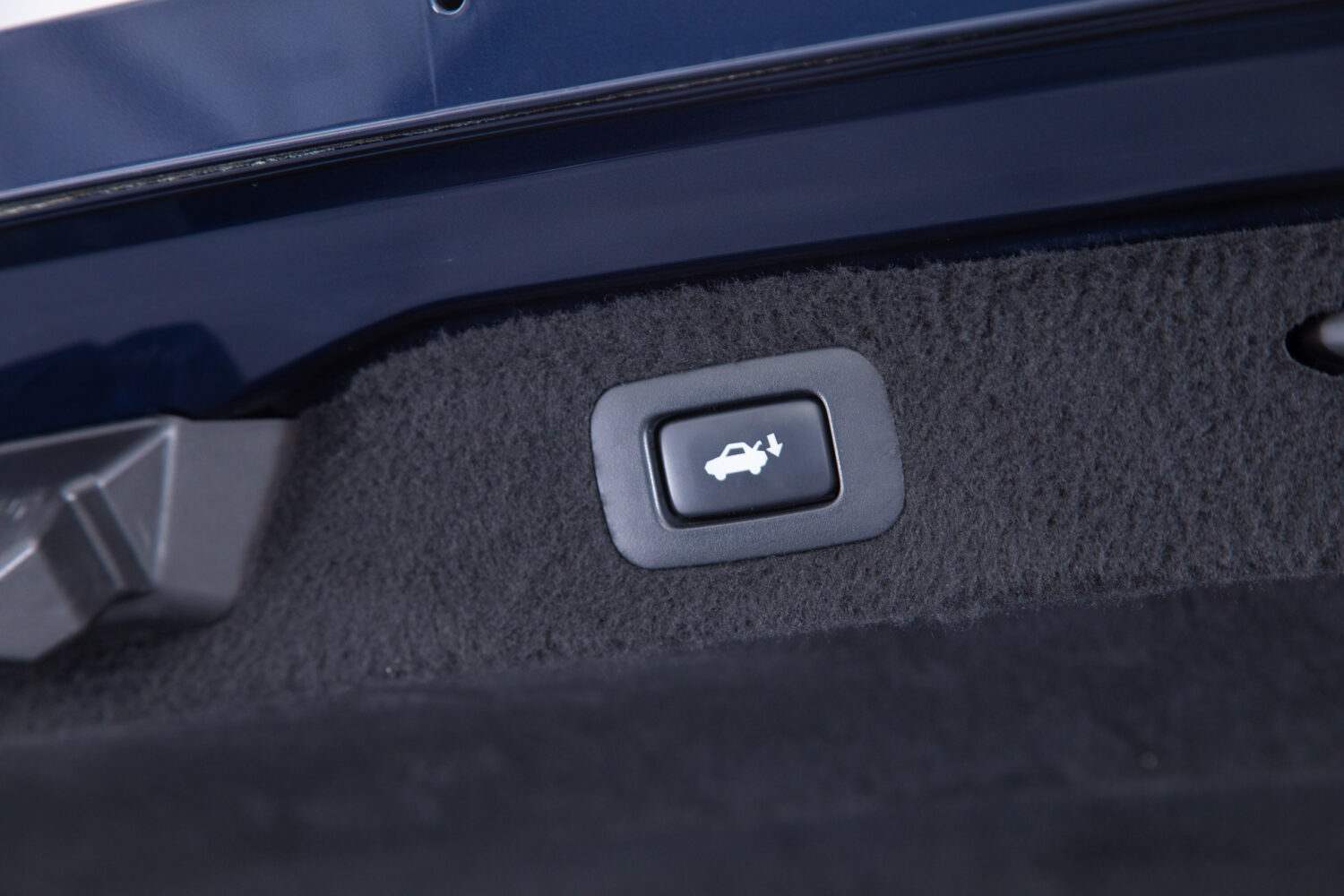 センチュリー 5.0