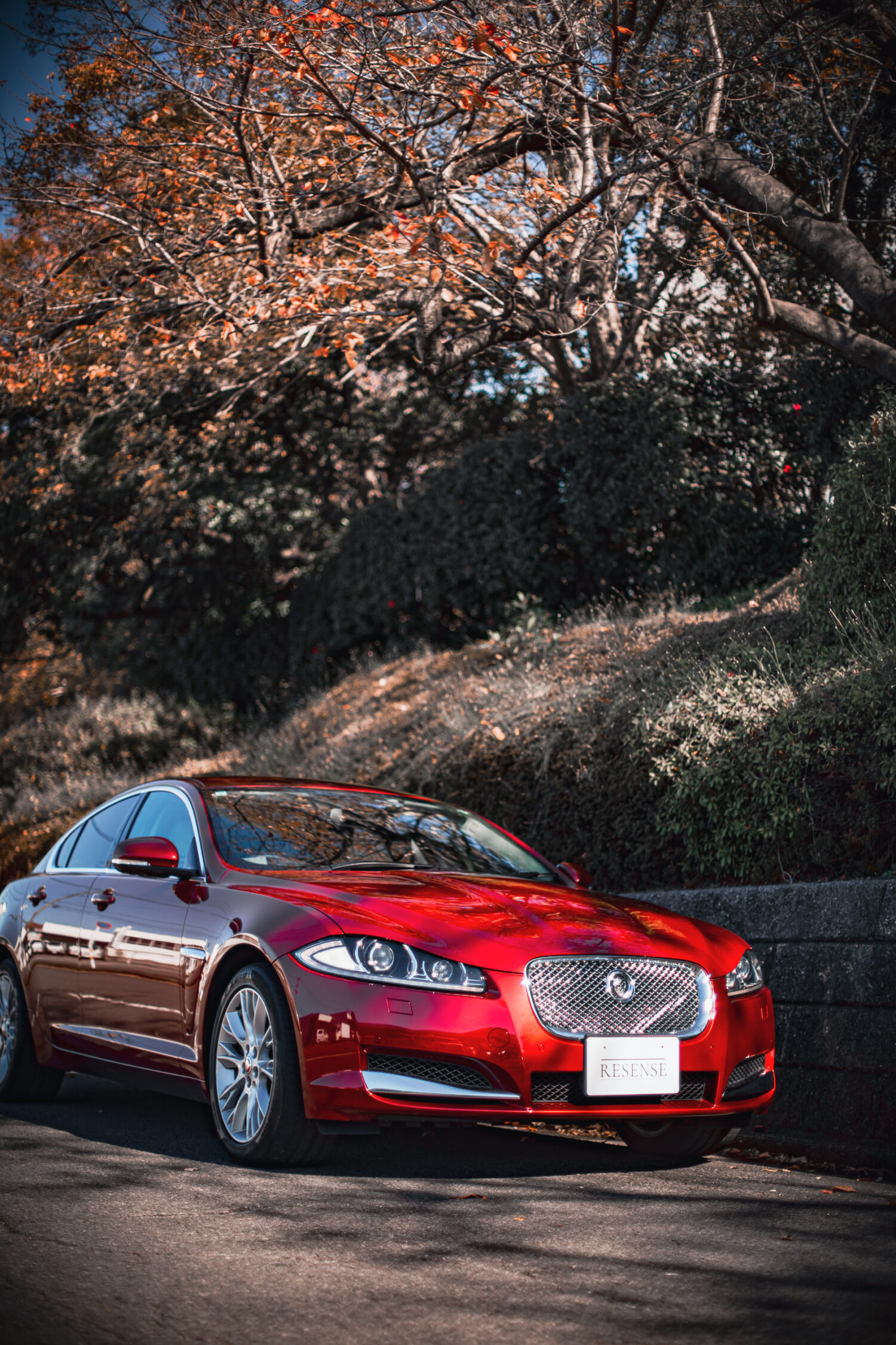 輸入車に踏み出すなら、定番のドイツ車だけでなく“あえてジャガー”という選択もある。気負わず乗れる穏やかさと、英国車らしい特別感。その両方を150万円以下で味わえる一台だ。