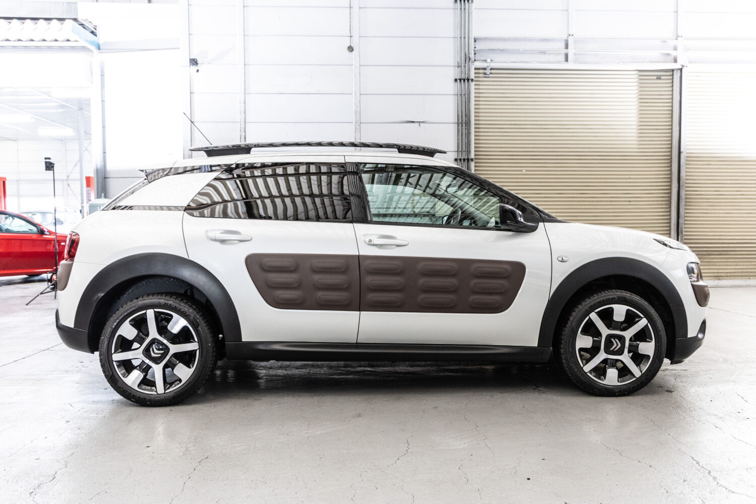 C4カクタス　1.2