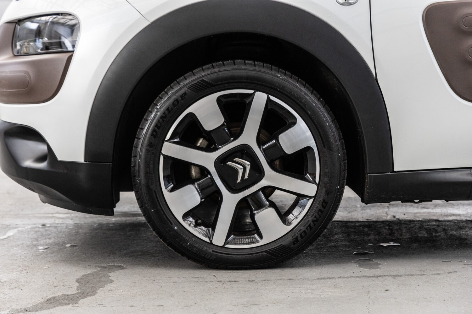 C4カクタス　1.2