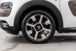 C4カクタス　1.2