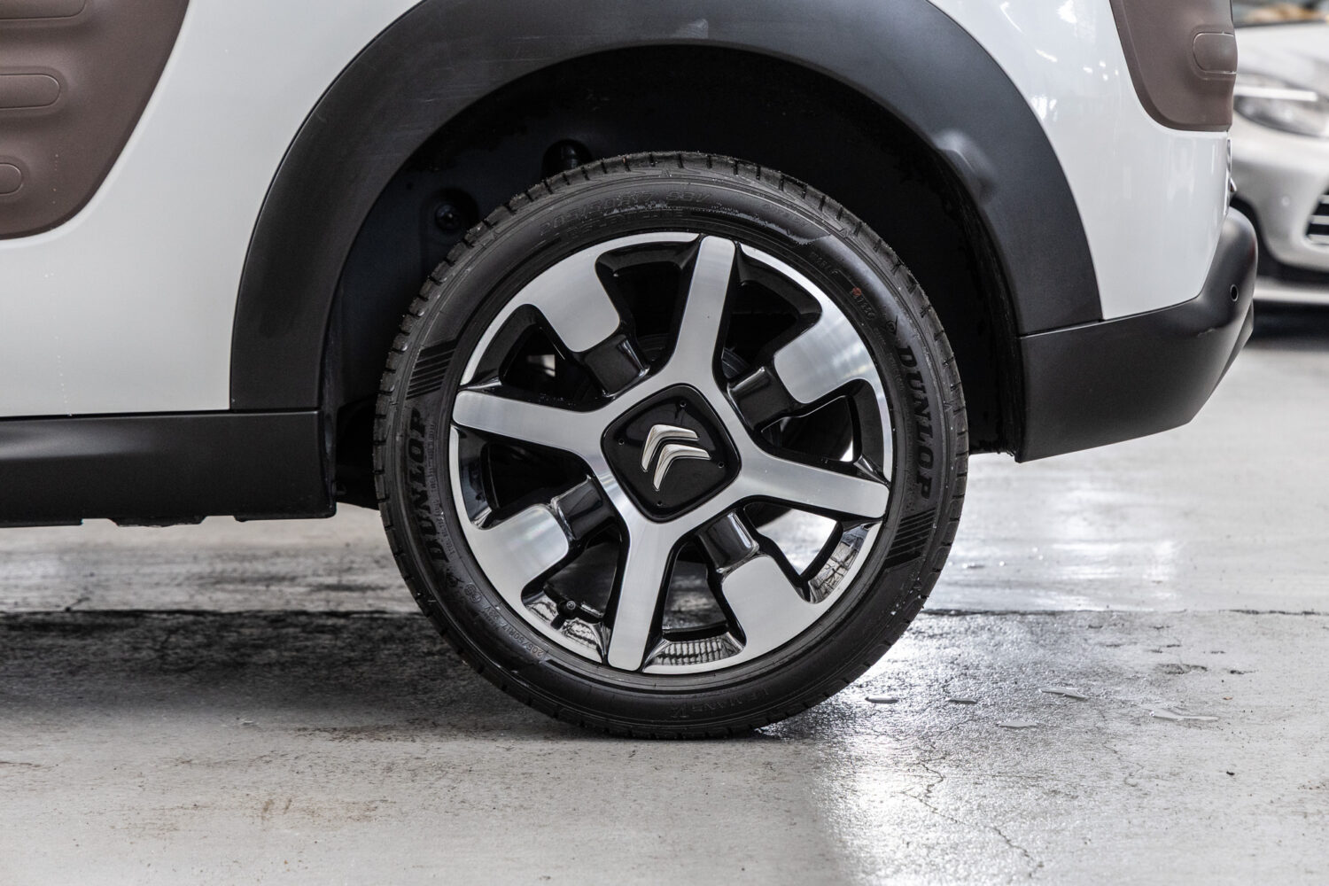 C4カクタス　1.2