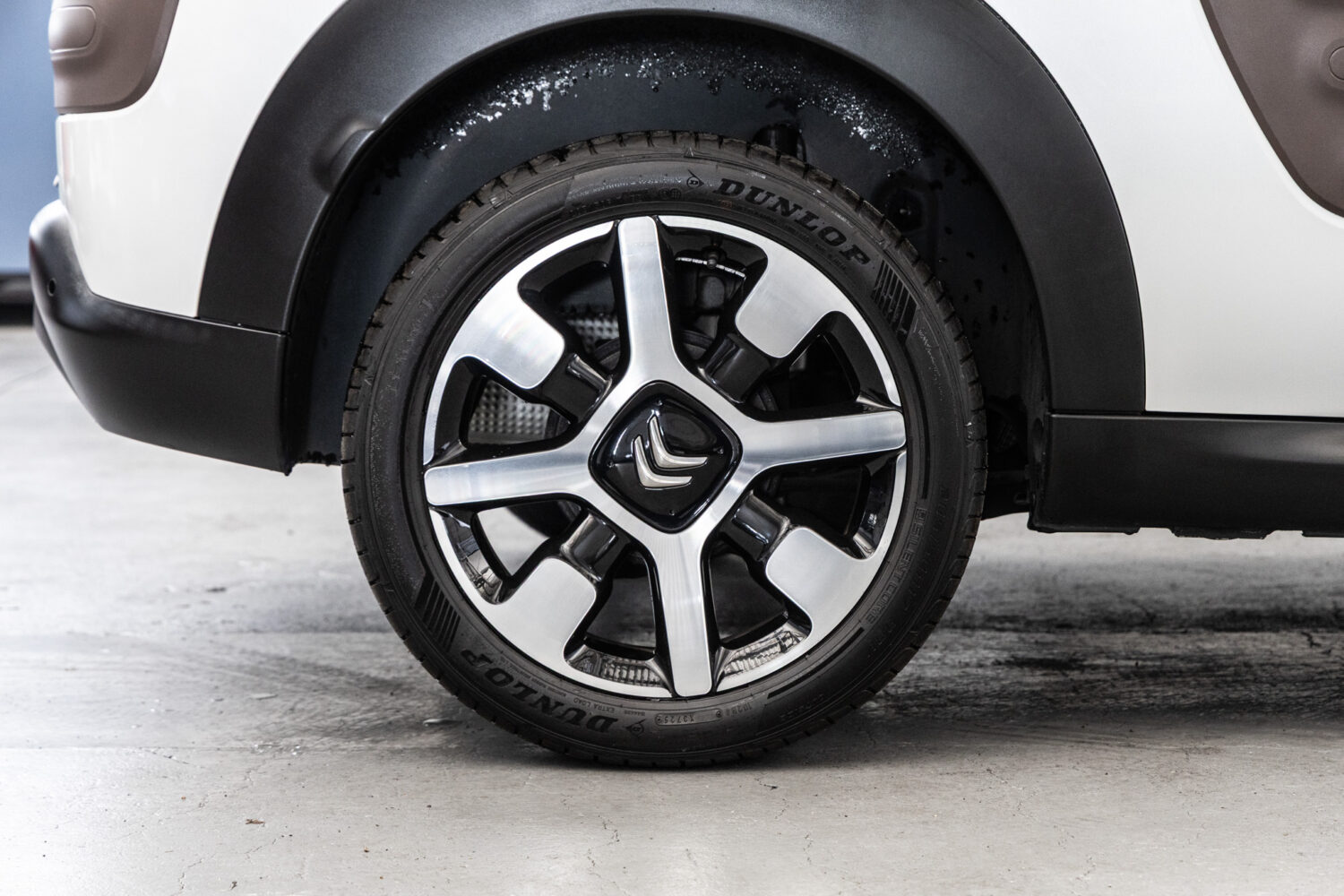 C4カクタス　1.2