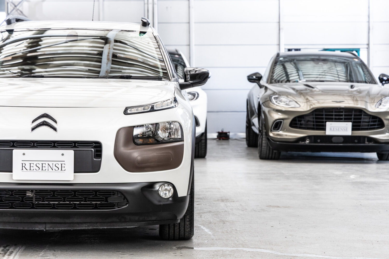 C4カクタス　1.2