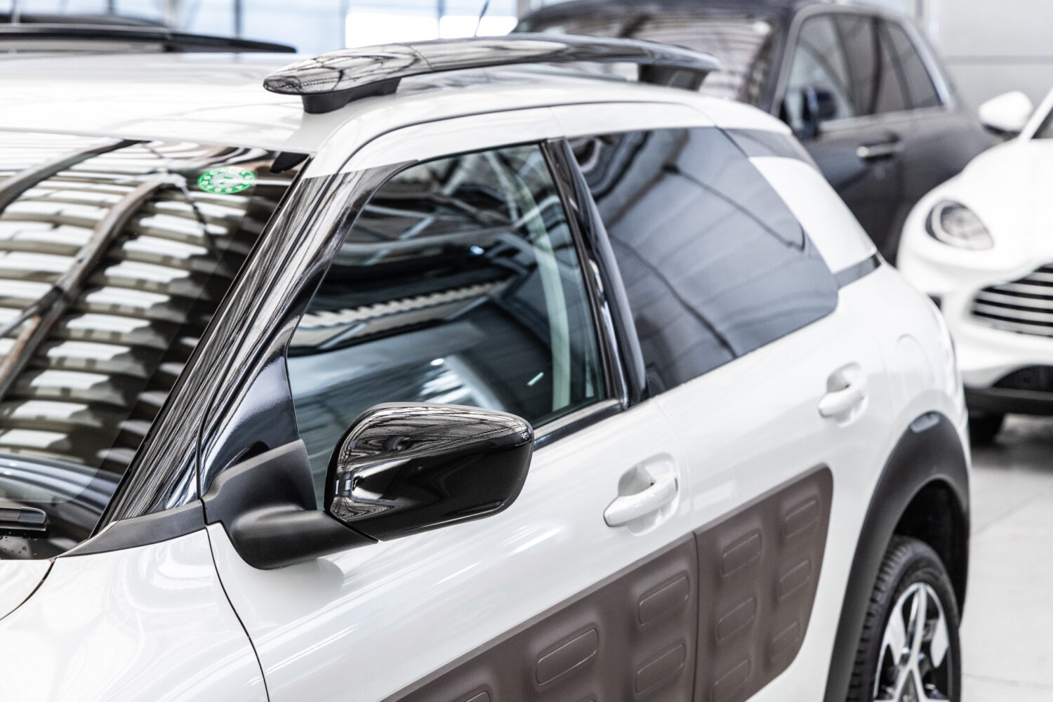 C4カクタス　1.2