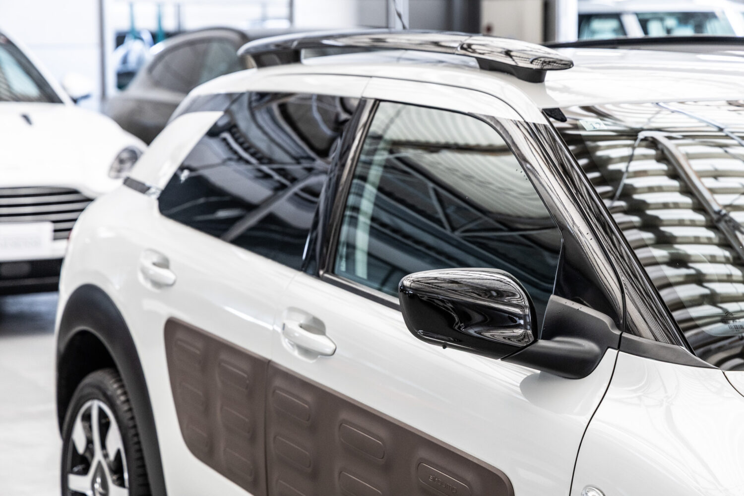 C4カクタス　1.2