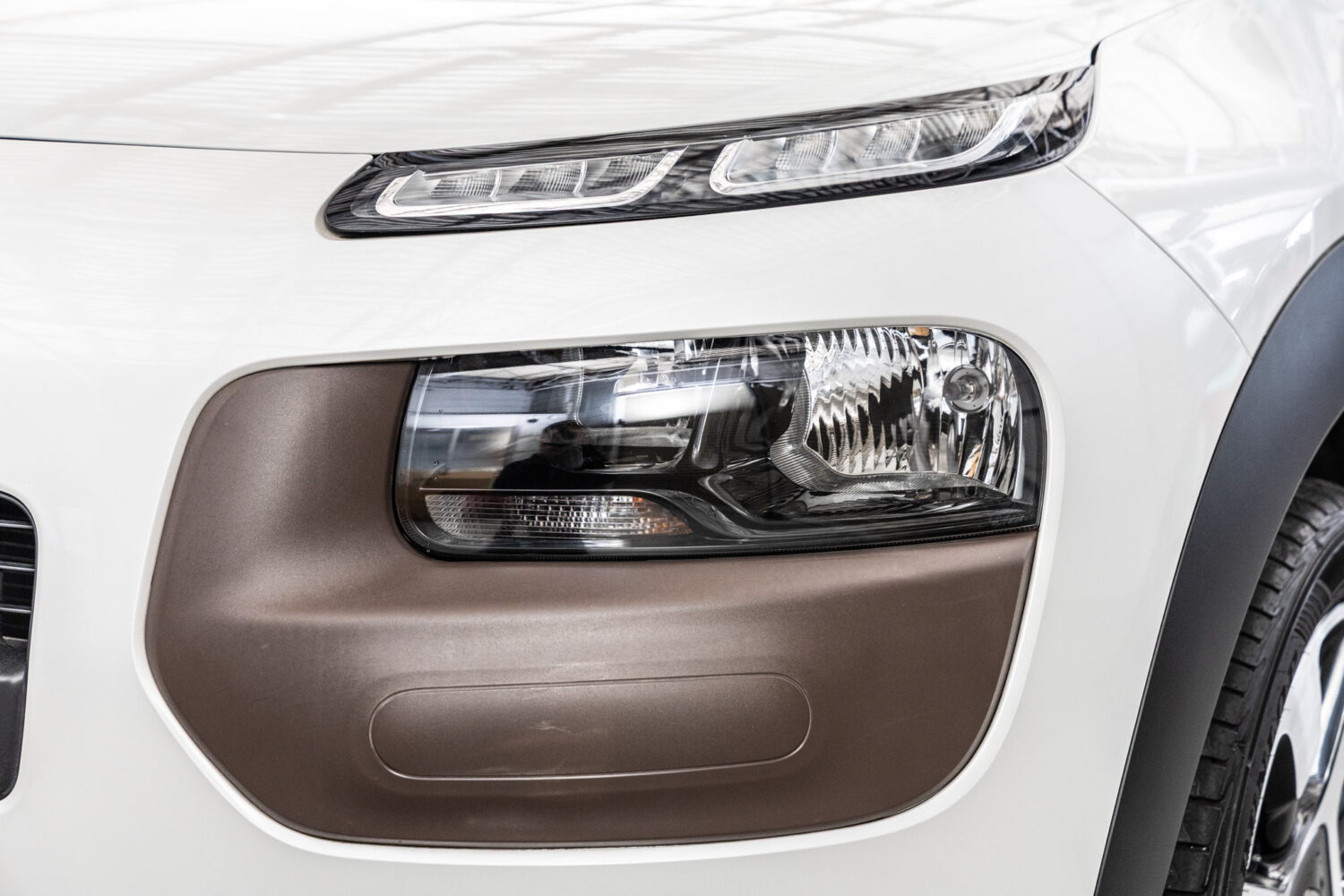 C4カクタス　1.2