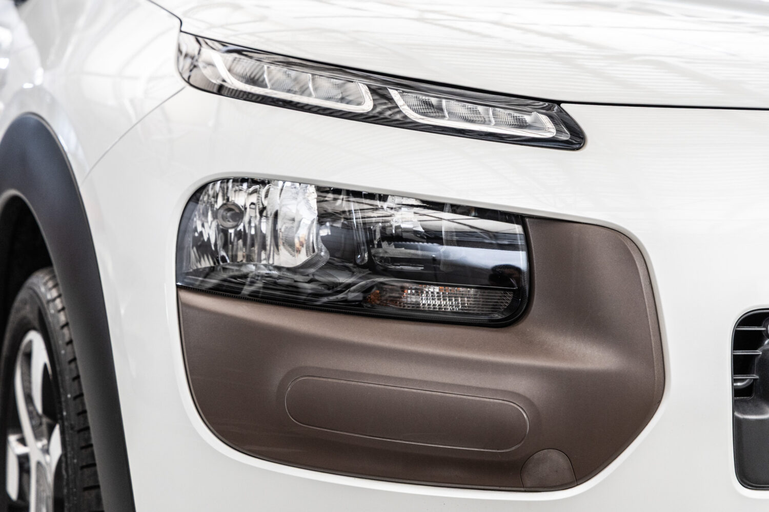 C4カクタス　1.2