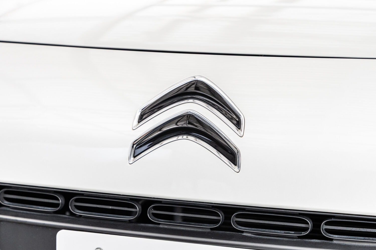 C4カクタス　1.2