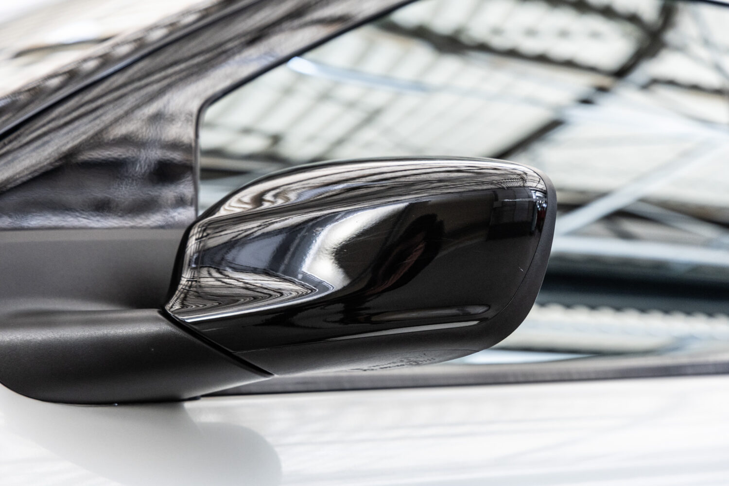 C4カクタス　1.2