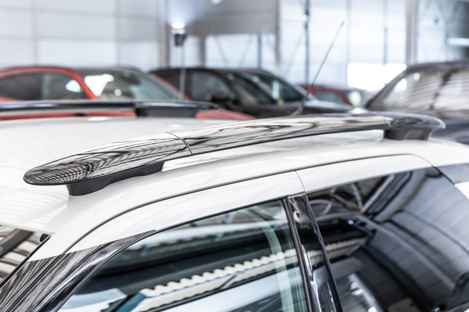 C4カクタス　1.2