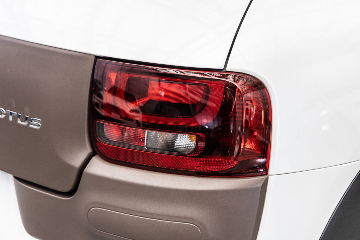 C4カクタス　1.2