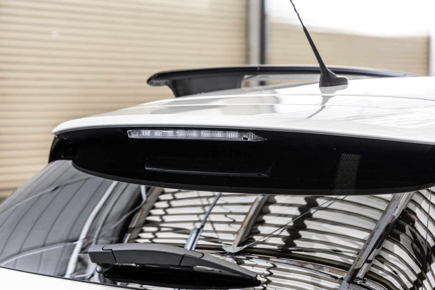 C4カクタス　1.2