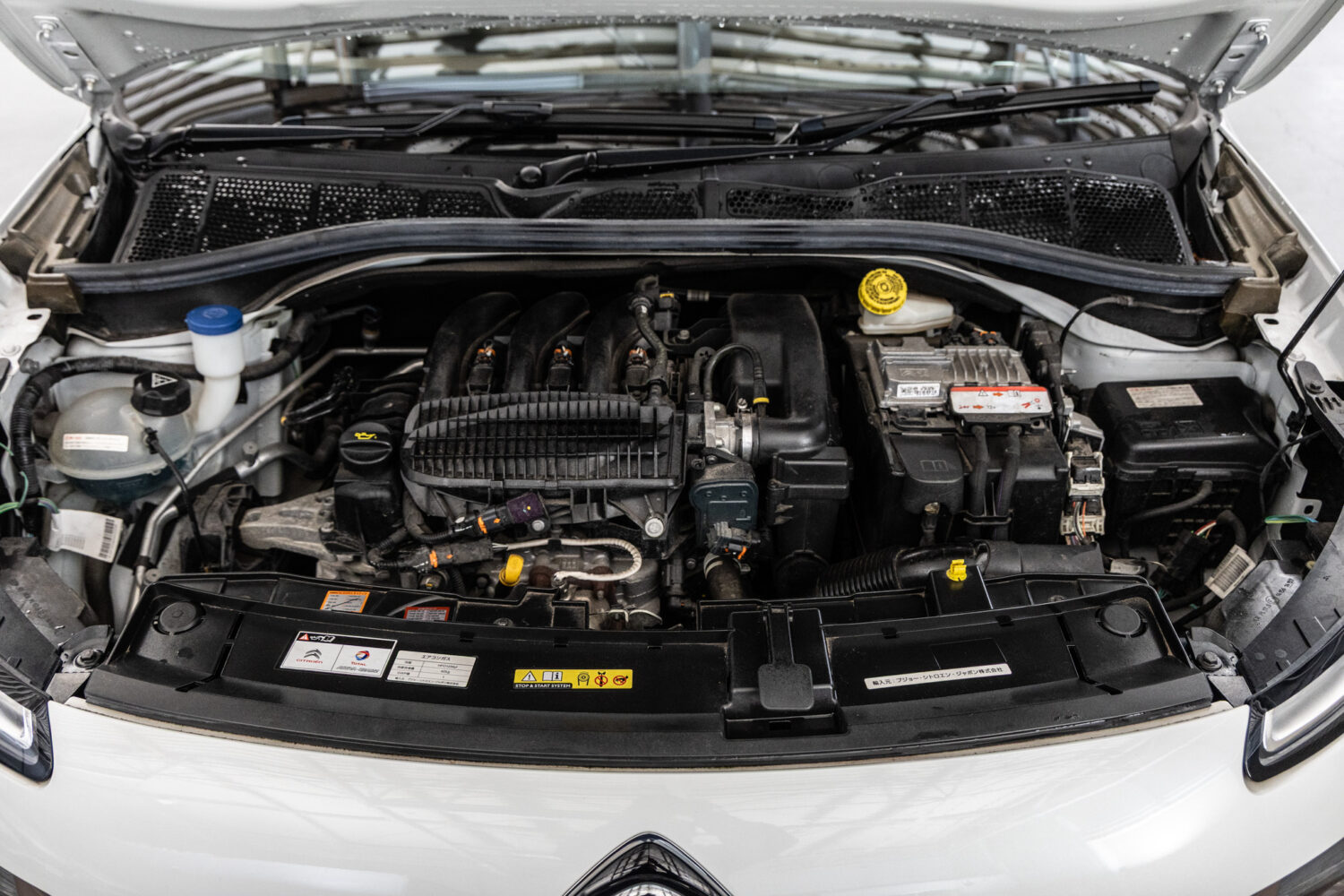 C4カクタス　1.2