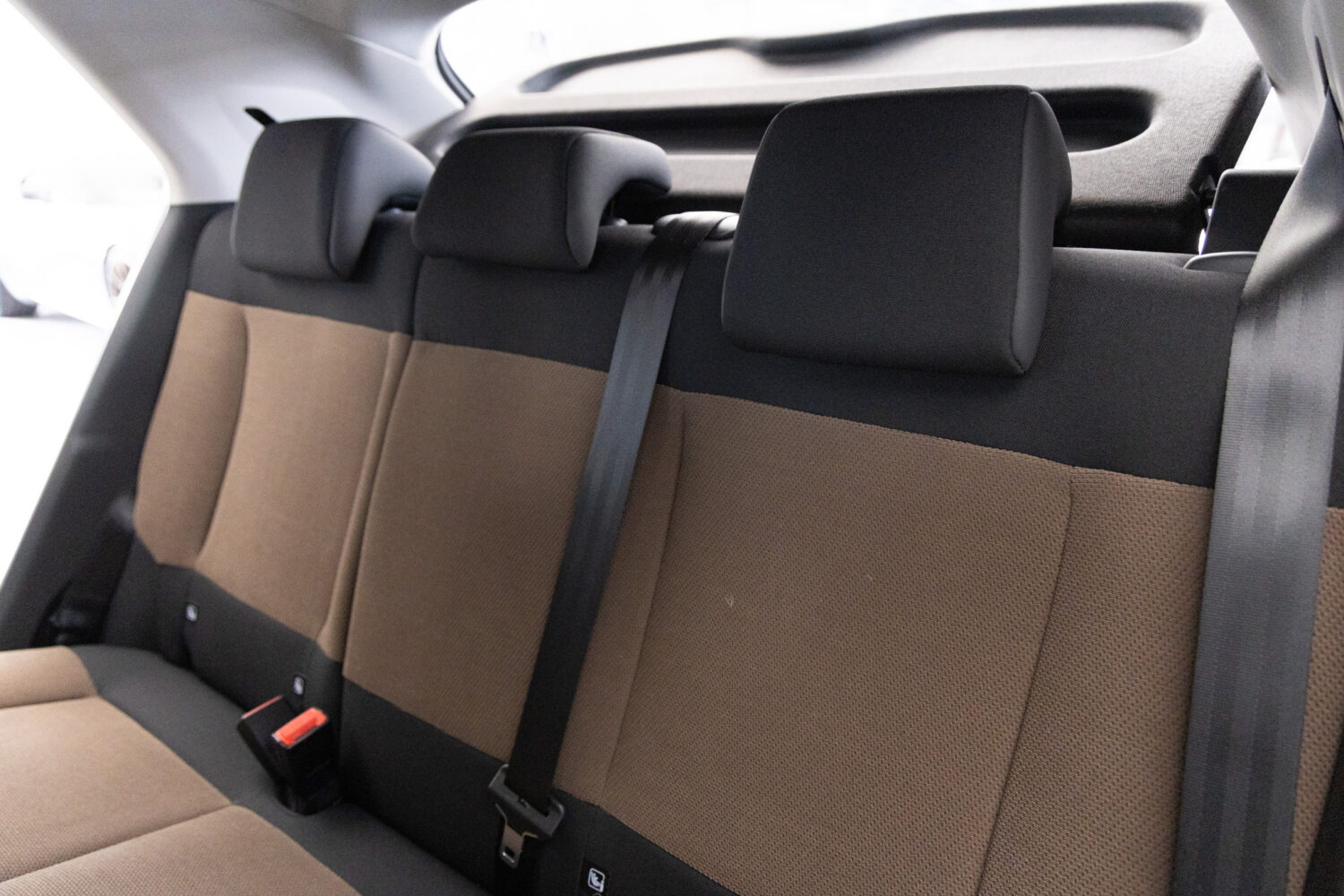 C4カクタス　1.2