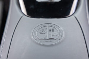 メルセデスAMG GT R