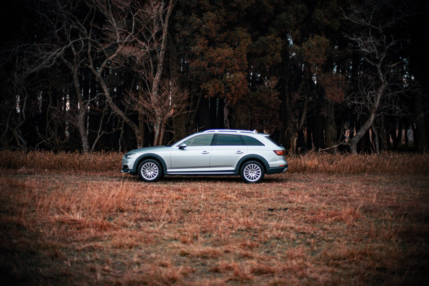 アウディ・A4オールロードクワトロ（4WD/7AT）自由に遊ぶ