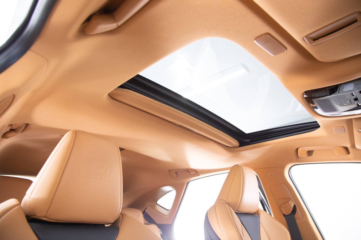 NX 350h Fスポーツ