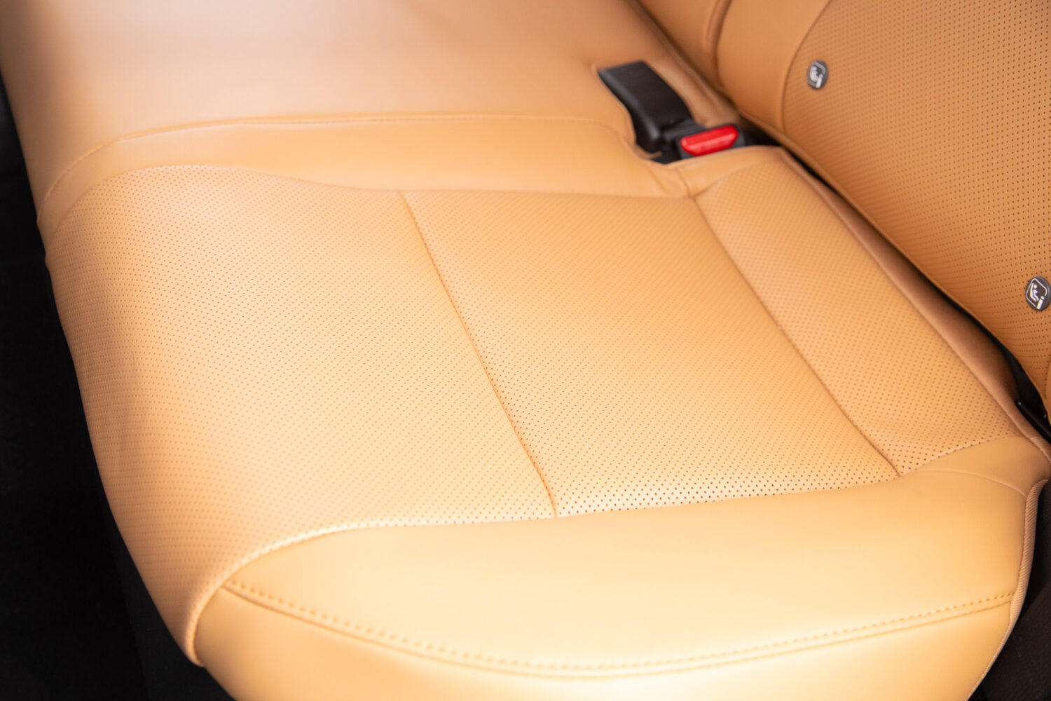 NX 350h Fスポーツ