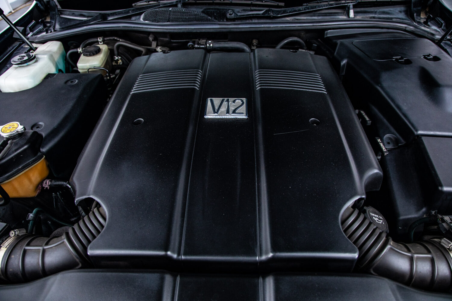 センチュリー 5.0