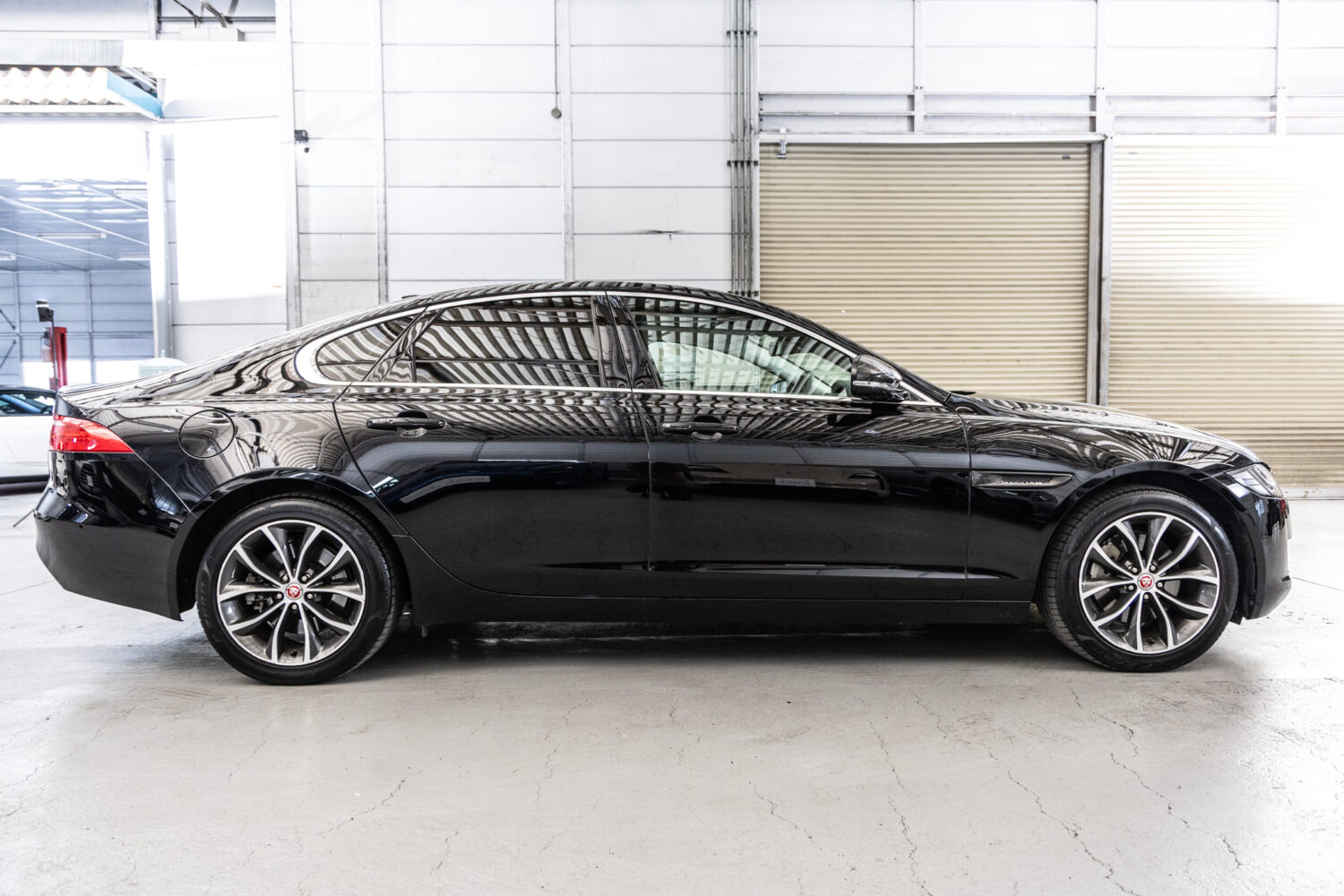 XF プレステージ