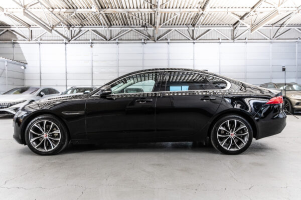 XF プレステージ