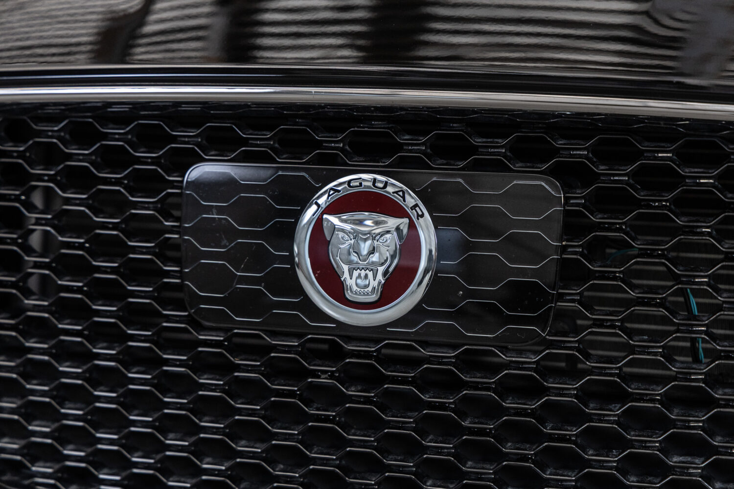 XF プレステージ