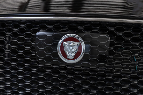 XF プレステージ