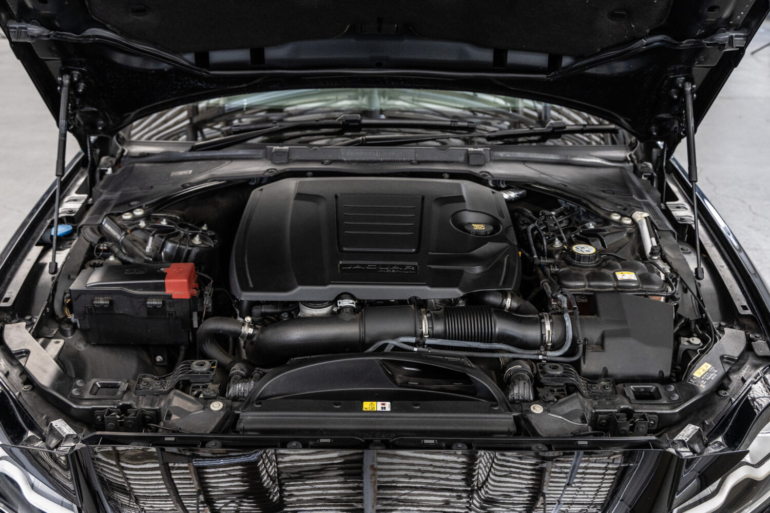 XF プレステージ