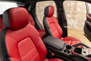 カイエン E-ハイブリッド ティプトロニックS 4WD