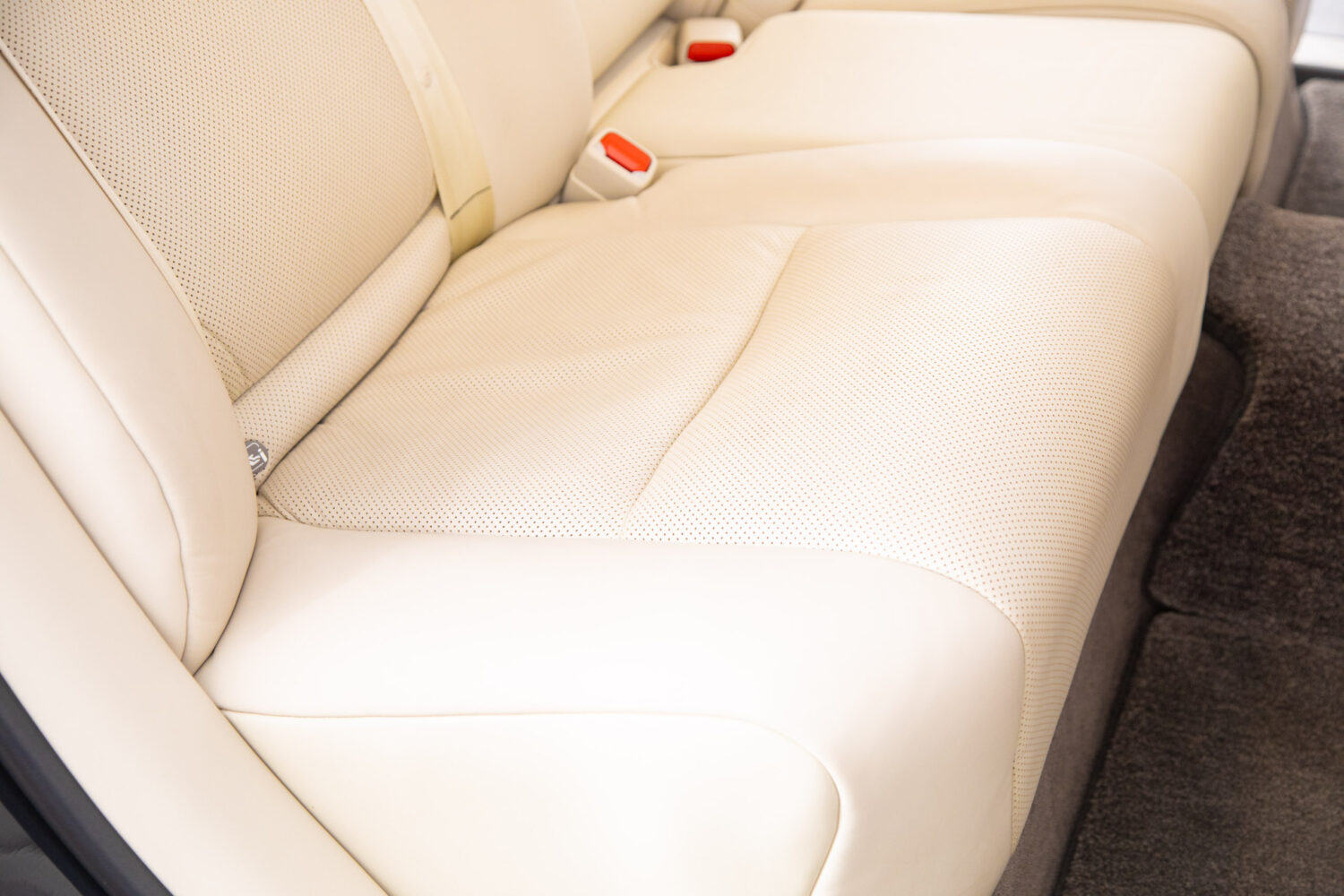 センチュリー 5.0