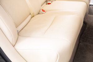 センチュリー 5.0