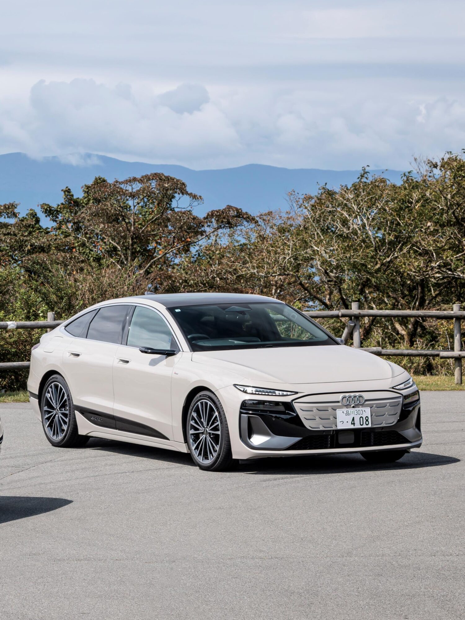 アウディA6 eトロン　クワトロとエントリーモデル登場