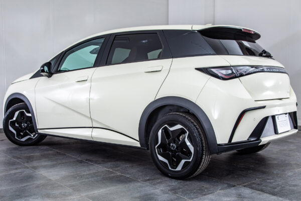 BYDドルフィン